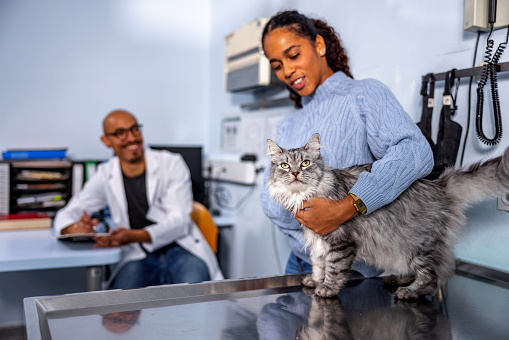 Hispanic veterinarian is filing a report after examining the cat in a veterinary clinic. Female Latin owner holding a cat gently on the exam table and calms her kitten.