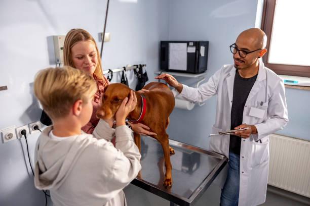 istock Latin Veterinarian Examining Dogs Teeth 1451147126