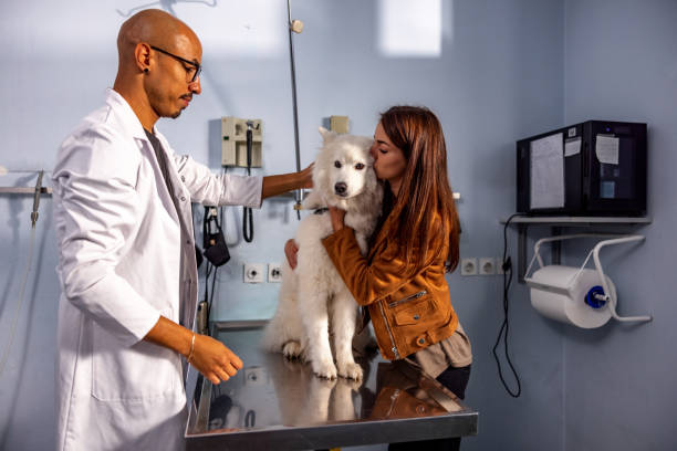 istock Caucasian Female Hugging A Samoyed At Veterinarians Office 1451147194