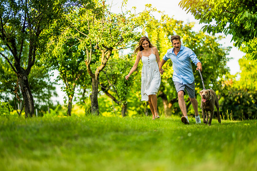 Playful mid adult couple running and playing with their dog in the backyard on a beautiful summer day.