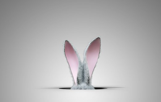 bunny ears sticking out of a hole - 3d render
