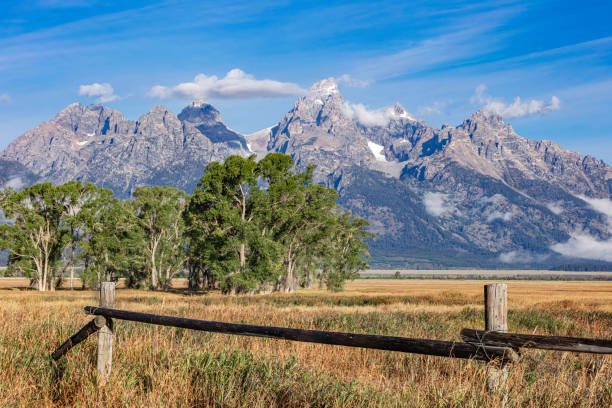 istock Corral Fence Teton National Park 1451167490