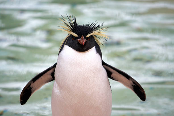3d render of a penguin dressed very smartly and engaging in a rather cool dance.