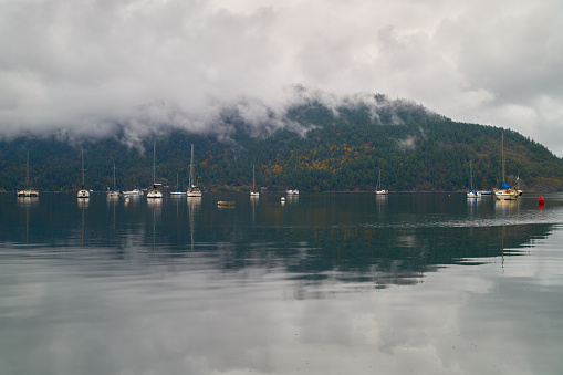 Boats anchored on a misty morning on Cowichan Bay, Vancouver Island, British Columbia.