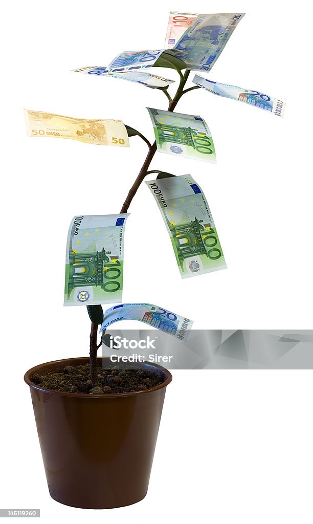 Árvore de dinheiro (euros - Royalty-free Abstrato Foto de stock
