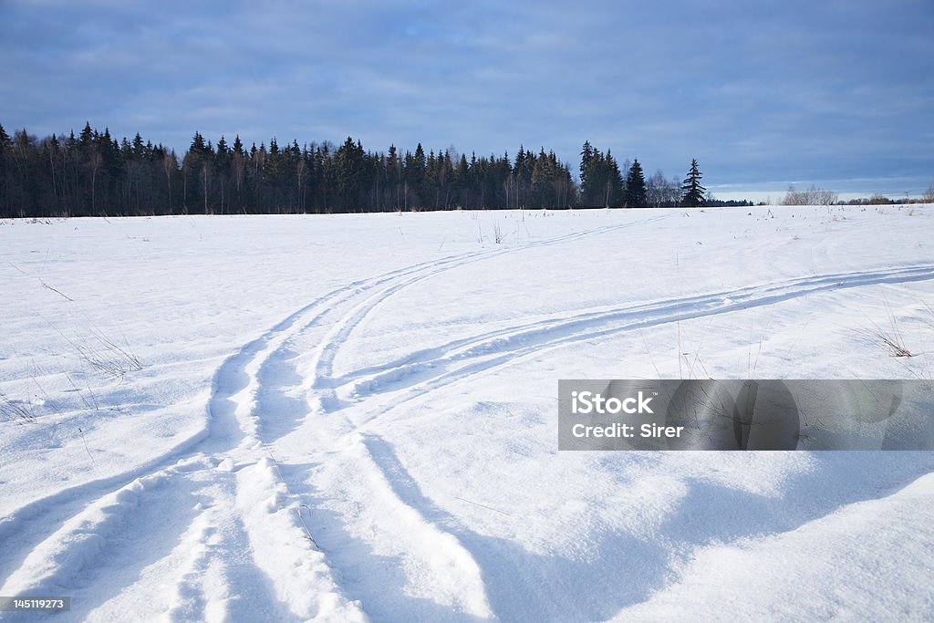 冬の道路 1 - 雪原のロイヤリティフリーストックフォト
