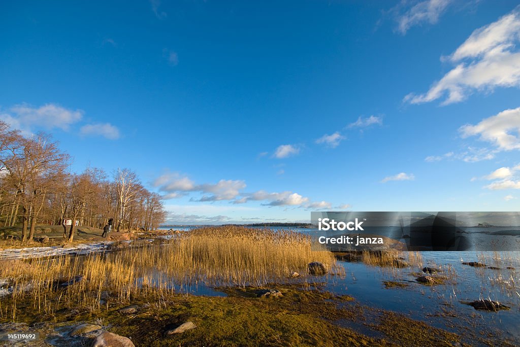 Балтийское море в январе - Стоковые фото Балтийское море роялти-фри