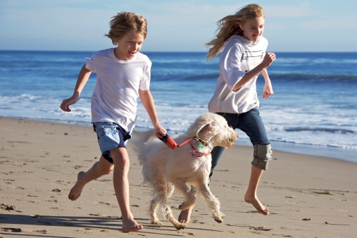 Two kid's running at the beach with dog