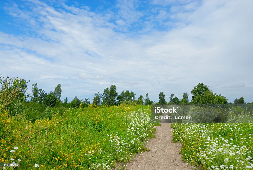 Campo Caminho deixando de afar - Royalty-free Admirar a Vista Foto de stock