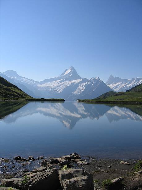 monte schreckhorn riflesso - jungfrau region foto e immagini stock