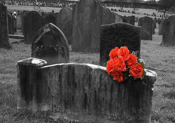 istock Blank headstone in graveyard with bunch of red roses 145120928