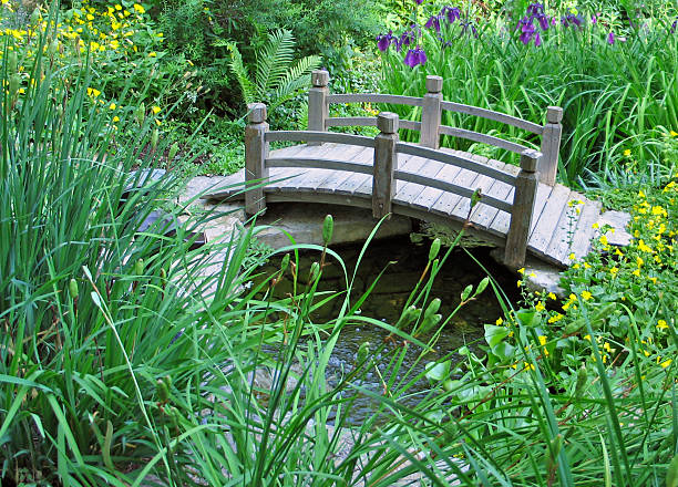 istock Curved bridge accents wetland garden 145122259