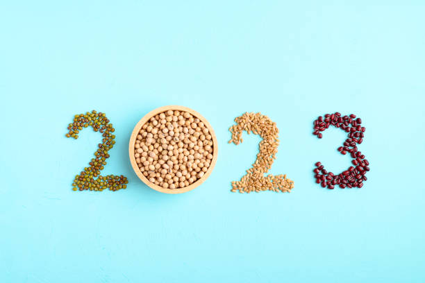 istock 2023 new year made from seeds (mung bean, soy bean, wheat and azuki bean) on color background 1451223888