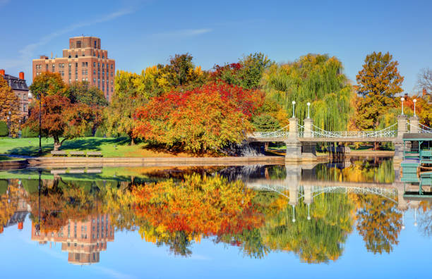 istock Autumn in the Boston Public Garden 1451235317