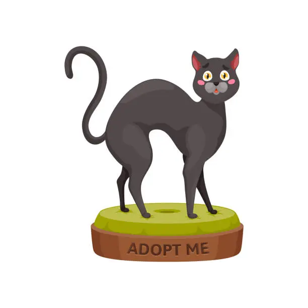 Vector illustration of Adopt a cat, stray pets adoption, helping charity