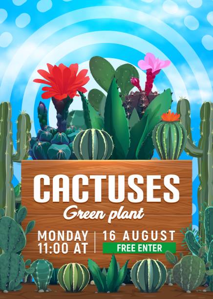 ilustrações de stock, clip art, desenhos animados e ícones de flower shop poster with cactuses and succulents - cactus hedgehog cactus flower desert