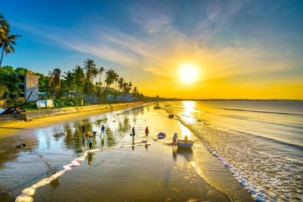 istock Dawn on the beach with tilted coconut trees, long sandy beach 1451240975