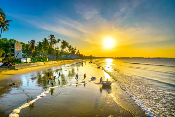 Dawn on the beach with tilted coconut trees, long sandy beach and beautiful golden sky and romantic for the weekend resort.