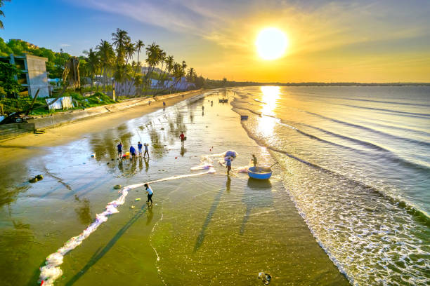 istock Dawn on the beach with tilted coconut trees, long sandy beach 1451241552