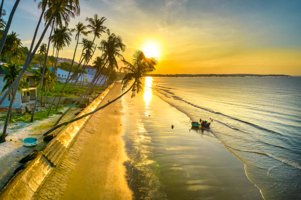 Dawn on the beach with tilted coconut trees, long sandy beach