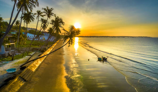 istock Dawn on the beach with tilted coconut trees, long sandy beach 1451241938