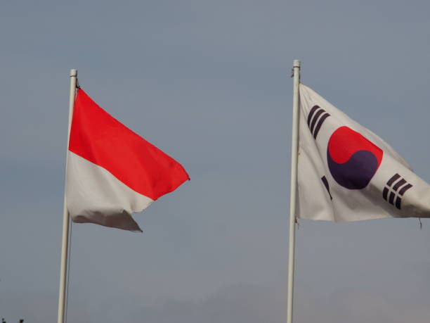 istock Two asian nation flag 1451241958