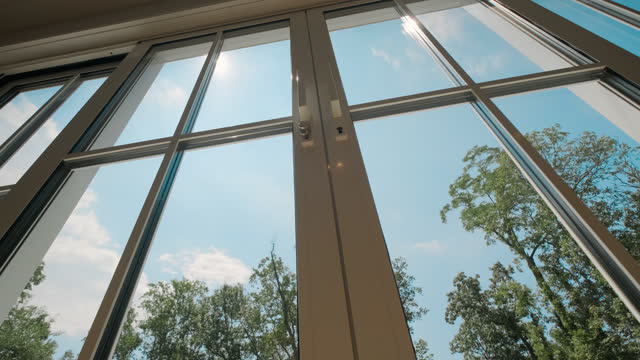 Trees with green foliage on a bright windy day viewed from within a windows. Move camera footage