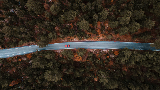 A road in the forest with cars on the road taken with a drone