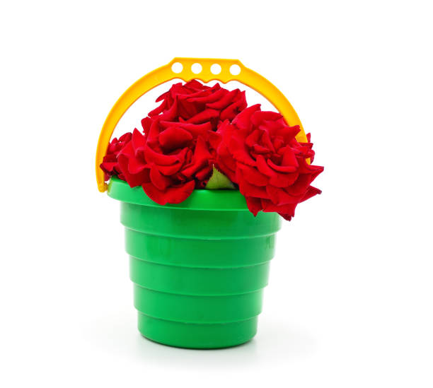 Beautiful orange flowers in the bucket isolated on a white background.