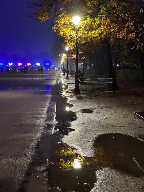 istock Retiro park at dusk in Madrid 1451254983