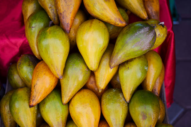 istock Fresh ripe canistel fruit 1451263081