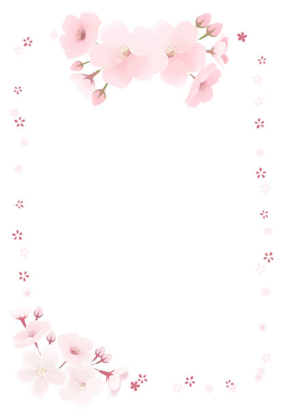 istock Watercolor painting of the cherry blossom petals; spring frame 1451272339