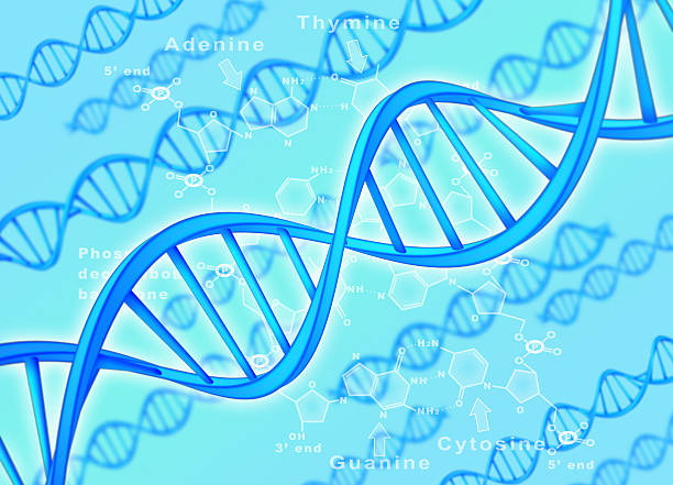 DNA Strand stock photo