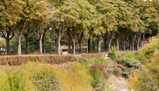 widok na park castro mount w vigo, hiszpania - castro street zdjęcia i obrazy z banku zdjęć