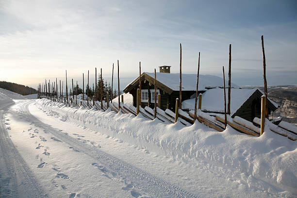 Cabin in the Mountains stock photo