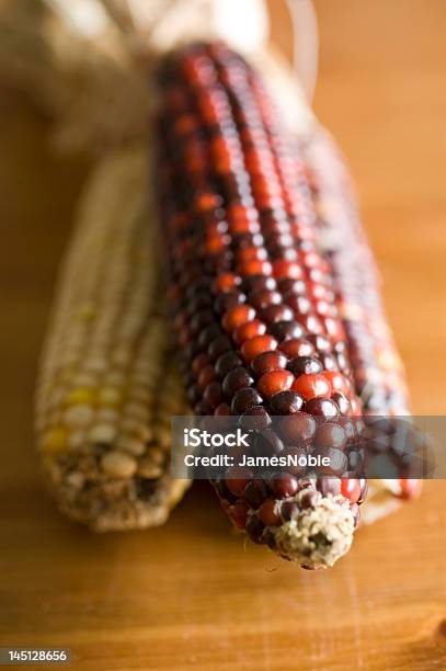 Photo libre de droit de Multicolore Maïs Indien banque d'images et plus d'images libres de droit de Agriculture - Agriculture, Aliment, Aliment séché