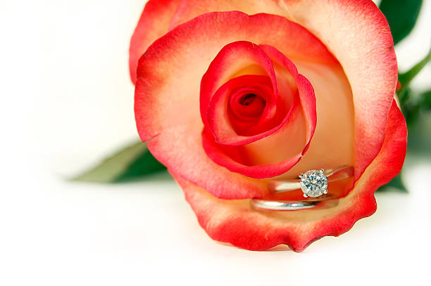 florescendo com amor - day gem ring open - fotografias e filmes do acervo