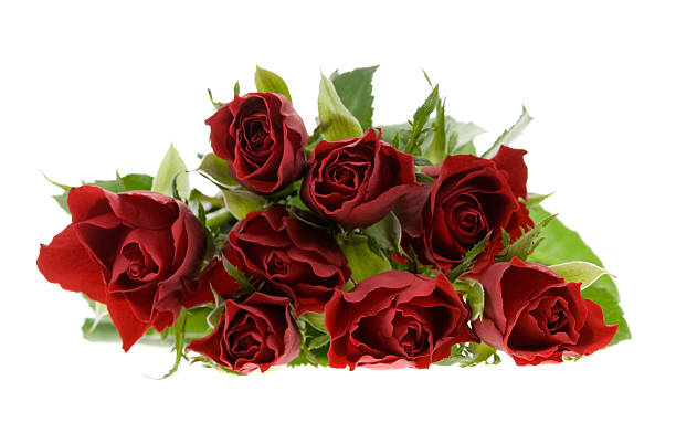 istock beautiful red roses 145129259