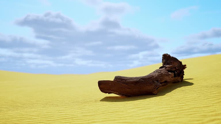 Dunes of Desert and dead wood 3d rendering