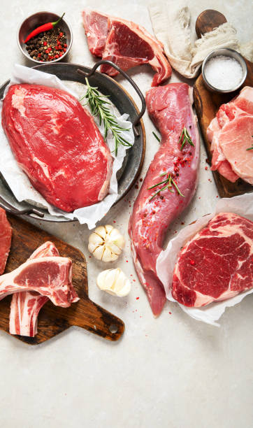 istock Assortment of raw meats on grey background. 1451295226