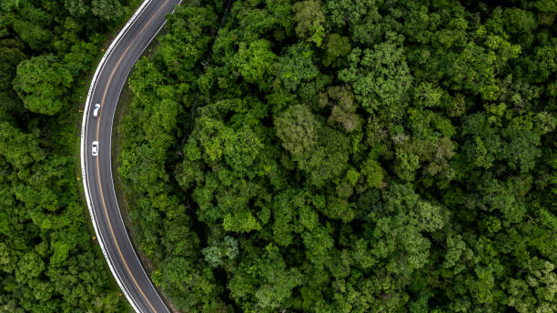istock Eco car on forest road with earth planet going through forest, Ecosystem ecology healthy environment road trip travel, Eco car with nature, Electric car and earth EV electrical energy for environment. 1451295609