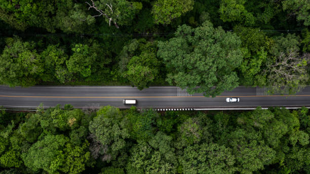 istock Eco car on forest road with earth planet going through forest, Ecosystem ecology healthy environment road trip travel, Eco car with nature, Electric car and earth EV electrical energy for environment. 1451295616