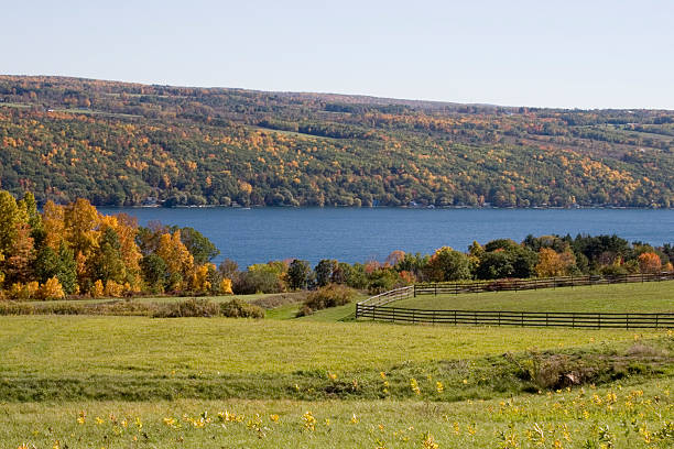 Lake in the Fall Keuka Lake in the Finger Lakes - fall shot across blue lake finger lakes stock pictures, royalty-free photos & images