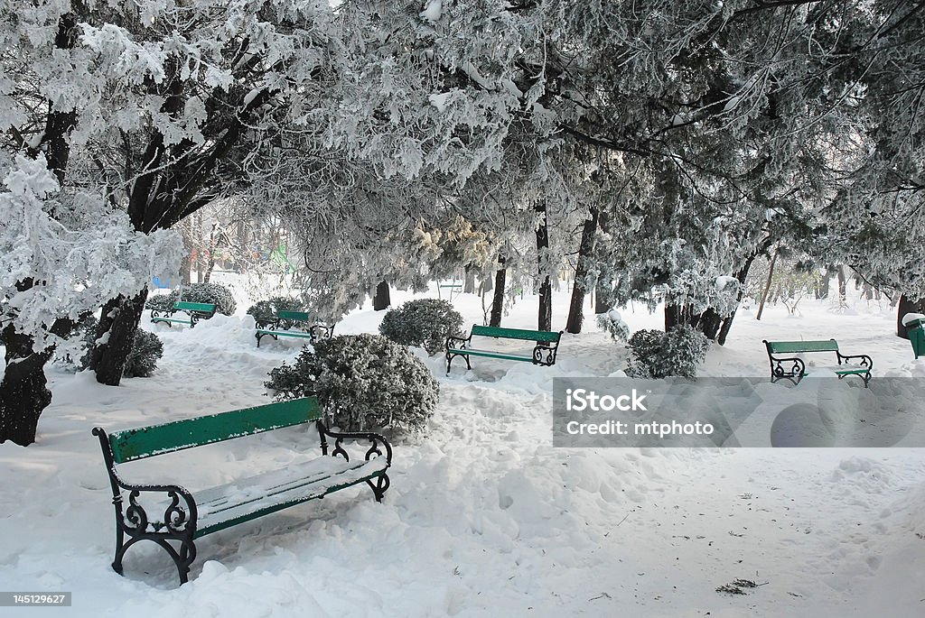 nel parco - Foto stock royalty-free di Albero