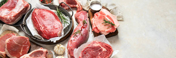 istock Assortment of raw meats on grey background. 1451296799