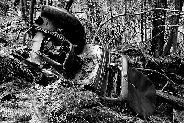 An old truck, probably a 1930s-era Chevy, abandoned decades ago in the woods of Appalachia, rotted and filled with bullet holes. Location