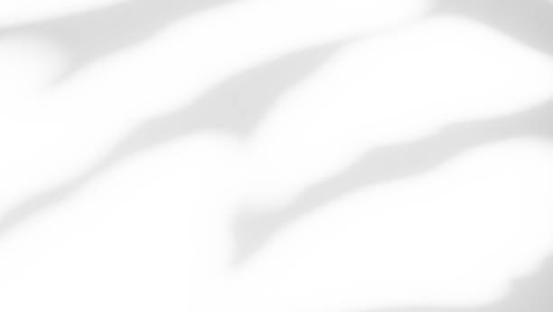 istock Abtract Overlay Shadow Leaves on Grey Cement Background 1451304507
