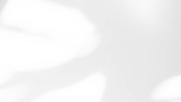 istock Abtract Overlay Shadow Leaves on Grey Cement Background 1451304595