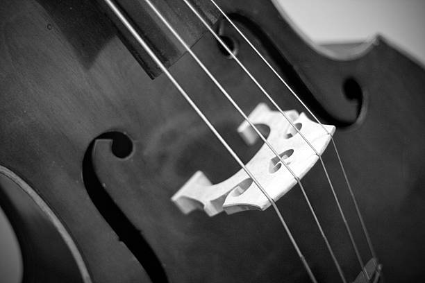 The Elegant Cello stock photo