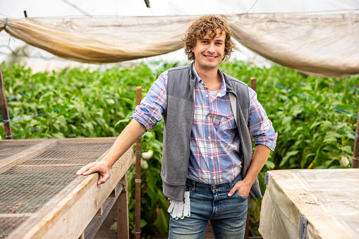 Smiling pleased young vegetable grower standing in the greenhouse among plants and looking before him